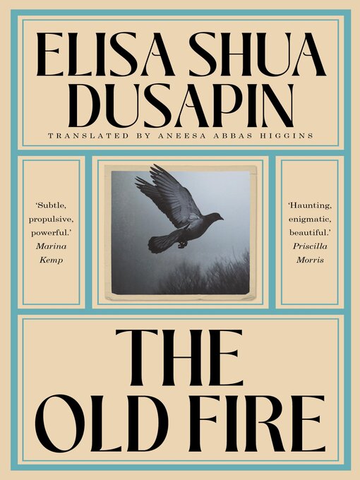 Title details for The Old Fire by Elisa Shua Dusapin - Wait list